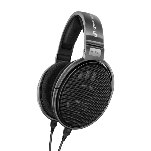 Sennheiser Consumer Audio HD 650